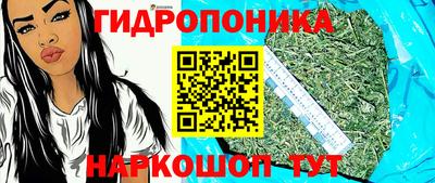 spice Нальчик