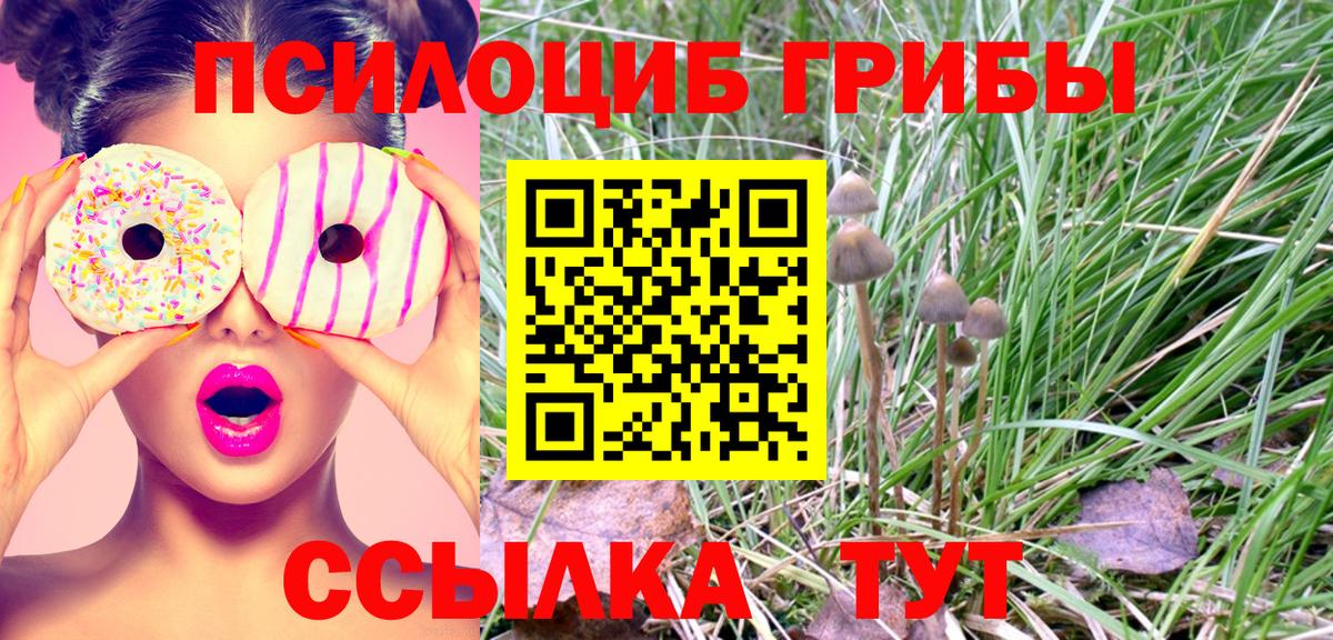 Славгород  Галлюциногенные грибы Cubensis  Псилоцибиновые грибы GOLDEN TEACHER  Вход с VPN 