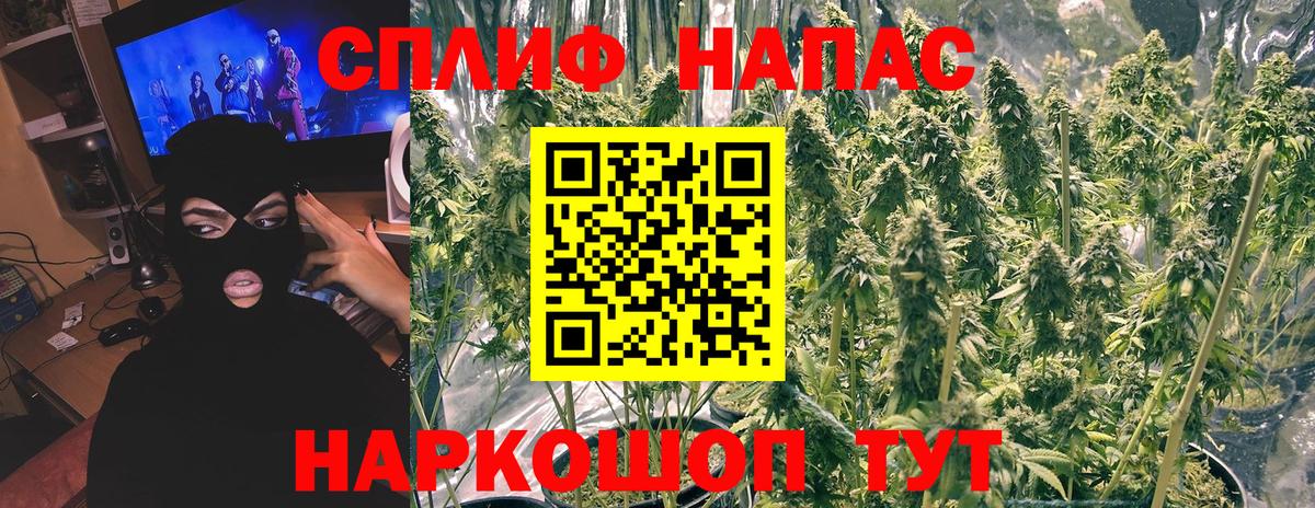 Славгород  Шишки марихуана сатива  Канабис MAZAR  Канабис THC 21%  Вход с VPN  Бошки марихуана семена 